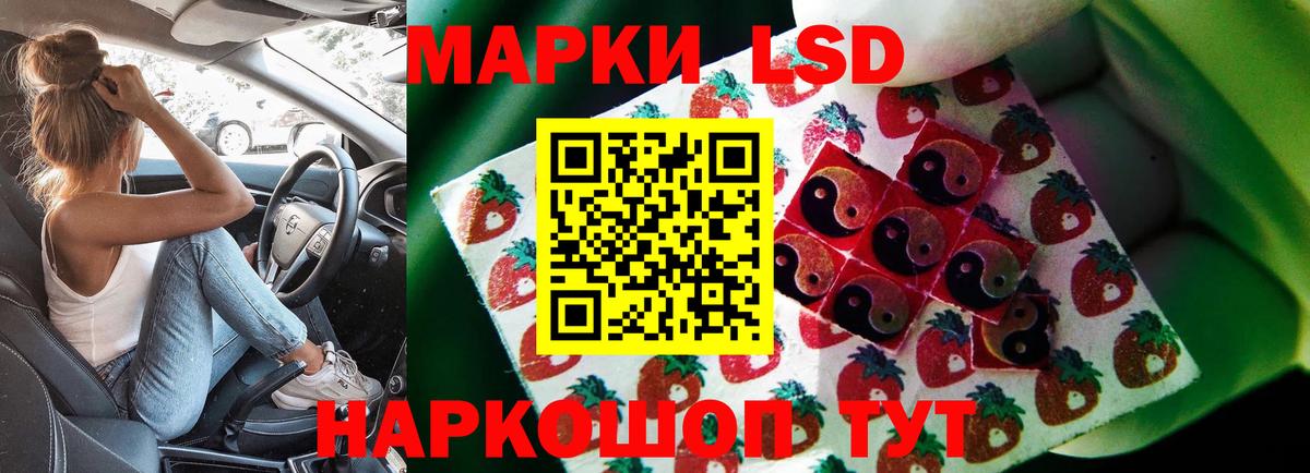blacksprut tor  Вход с VPN  Светлоград  LSD-25 экстази кислота  LSD-25 экстази кислота 