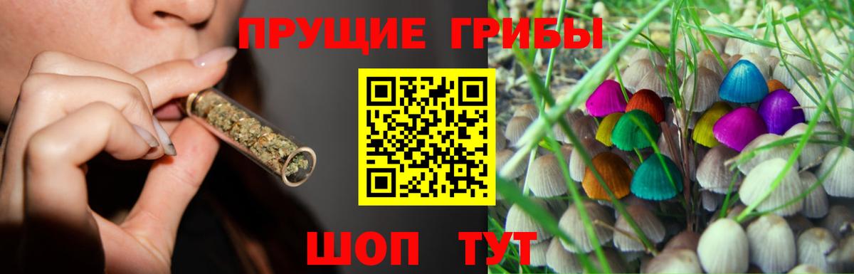 Галлюциногенные грибы ЛСД  Вход с VPN  Светлоград 